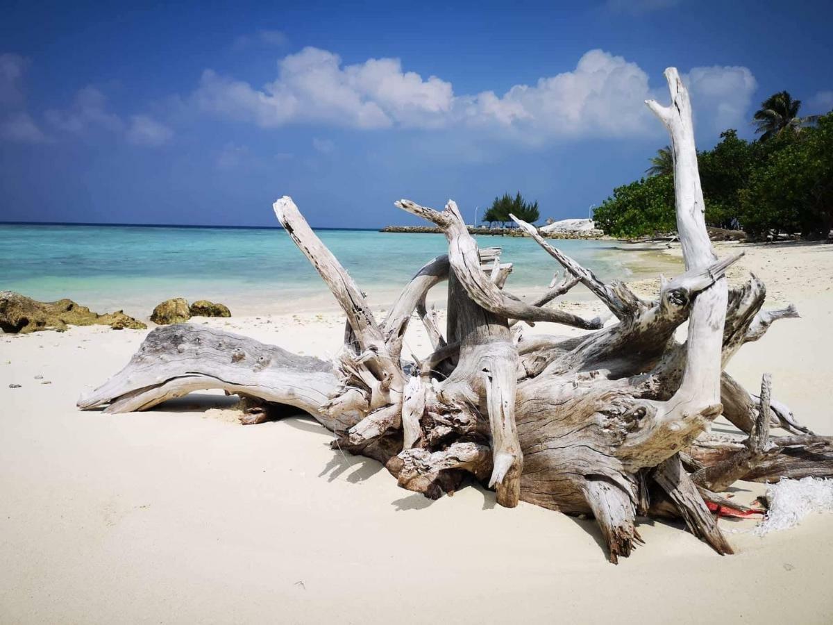 String Wave Maldives Hotel กุลลี ภายนอก รูปภาพ
